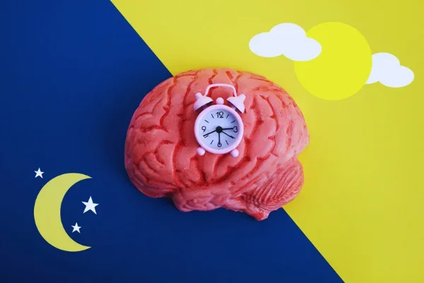 ciclo circadiano que diferencia el dia y la noche con un reloj en el centro de un cerebro humano
