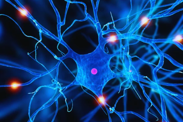 comunicación eléctrica entre neuronas